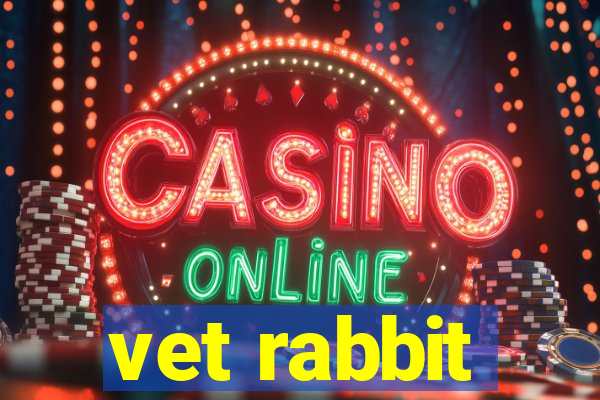vet rabbit