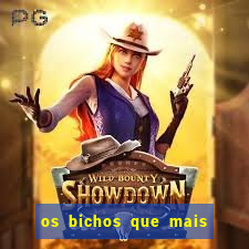 os bichos que mais saem na loteria federal