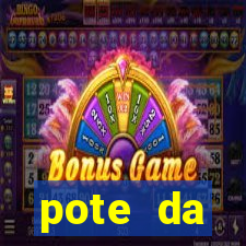 pote da prosperidade riqueza e fortuna 2024
