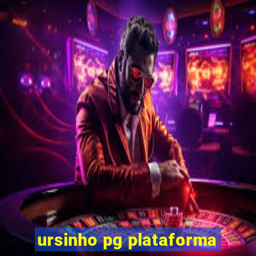 ursinho pg plataforma