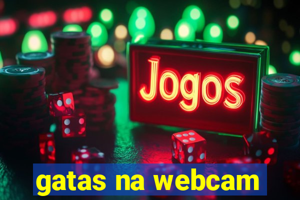gatas na webcam