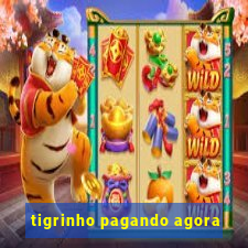 tigrinho pagando agora