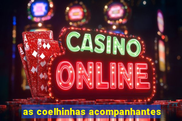 as coelhinhas acompanhantes