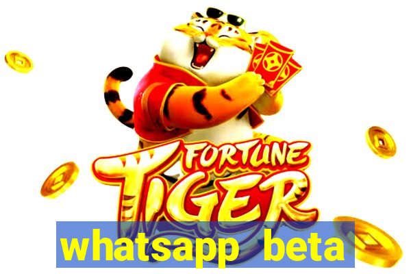 whatsapp beta mirror apk