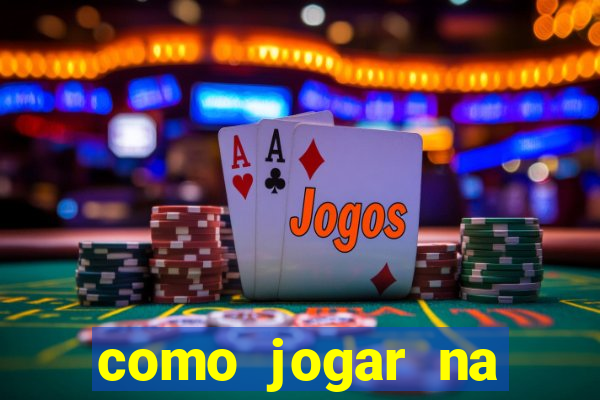 como jogar na seninha online
