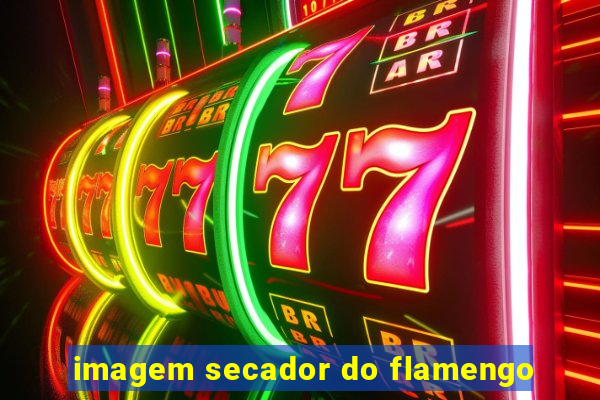 imagem secador do flamengo