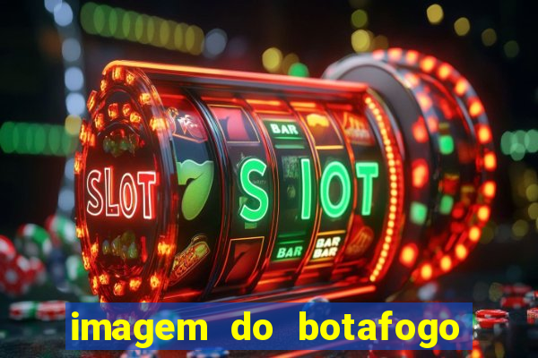 imagem do botafogo zuando o palmeiras