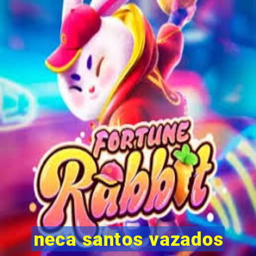 neca santos vazados