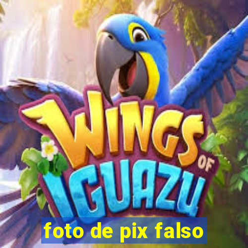 foto de pix falso