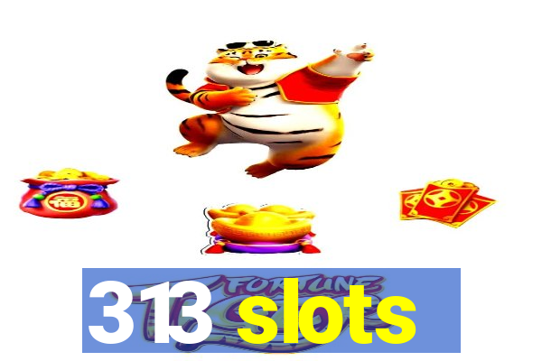 313 slots