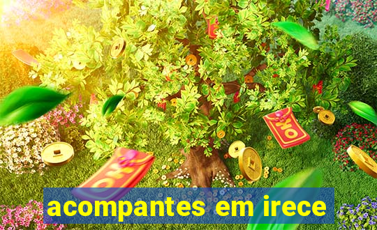 acompantes em irece