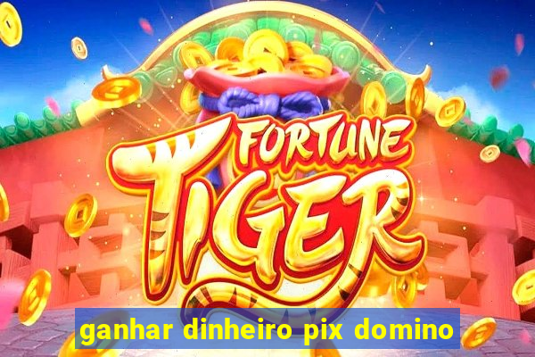 ganhar dinheiro pix domino