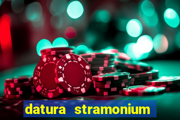 datura stramonium medicinal uses