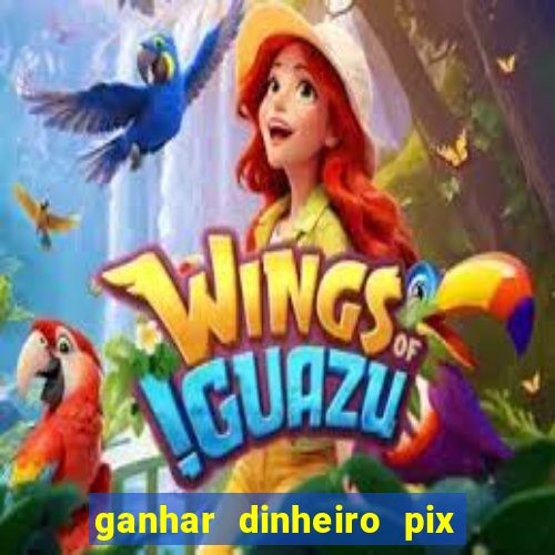 ganhar dinheiro pix de verdade bingo