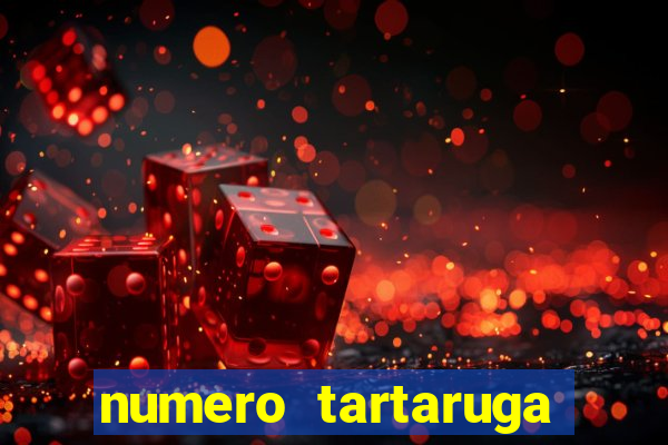 numero tartaruga jogo do bicho
