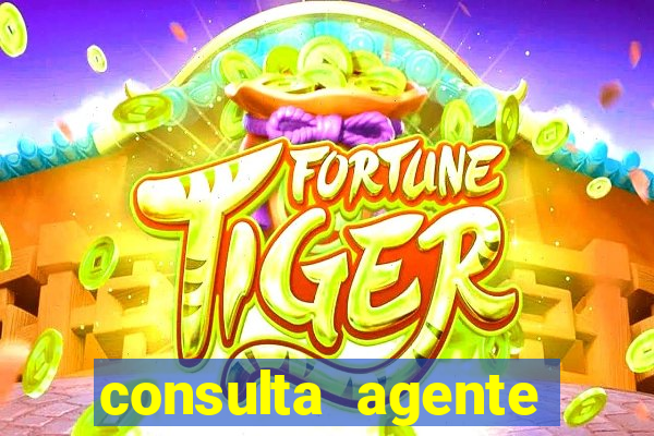 consulta agente autuador sp