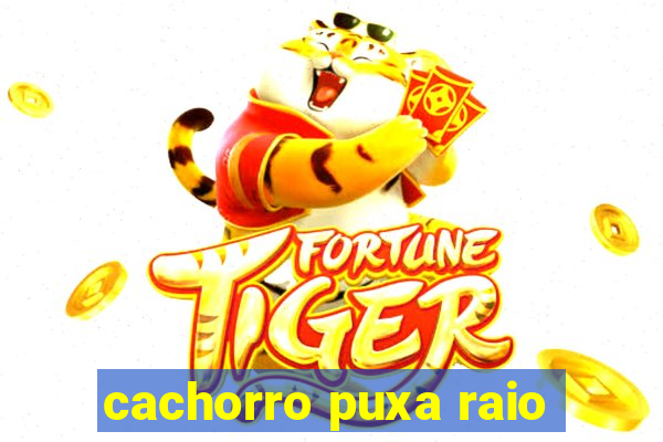cachorro puxa raio