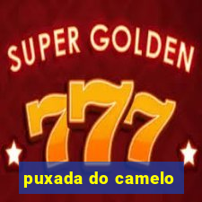 puxada do camelo