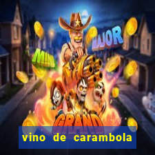 vino de carambola stardew valley