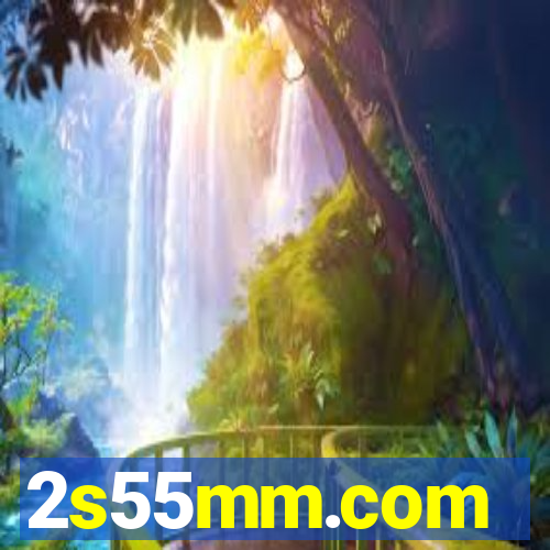 2s55mm.com