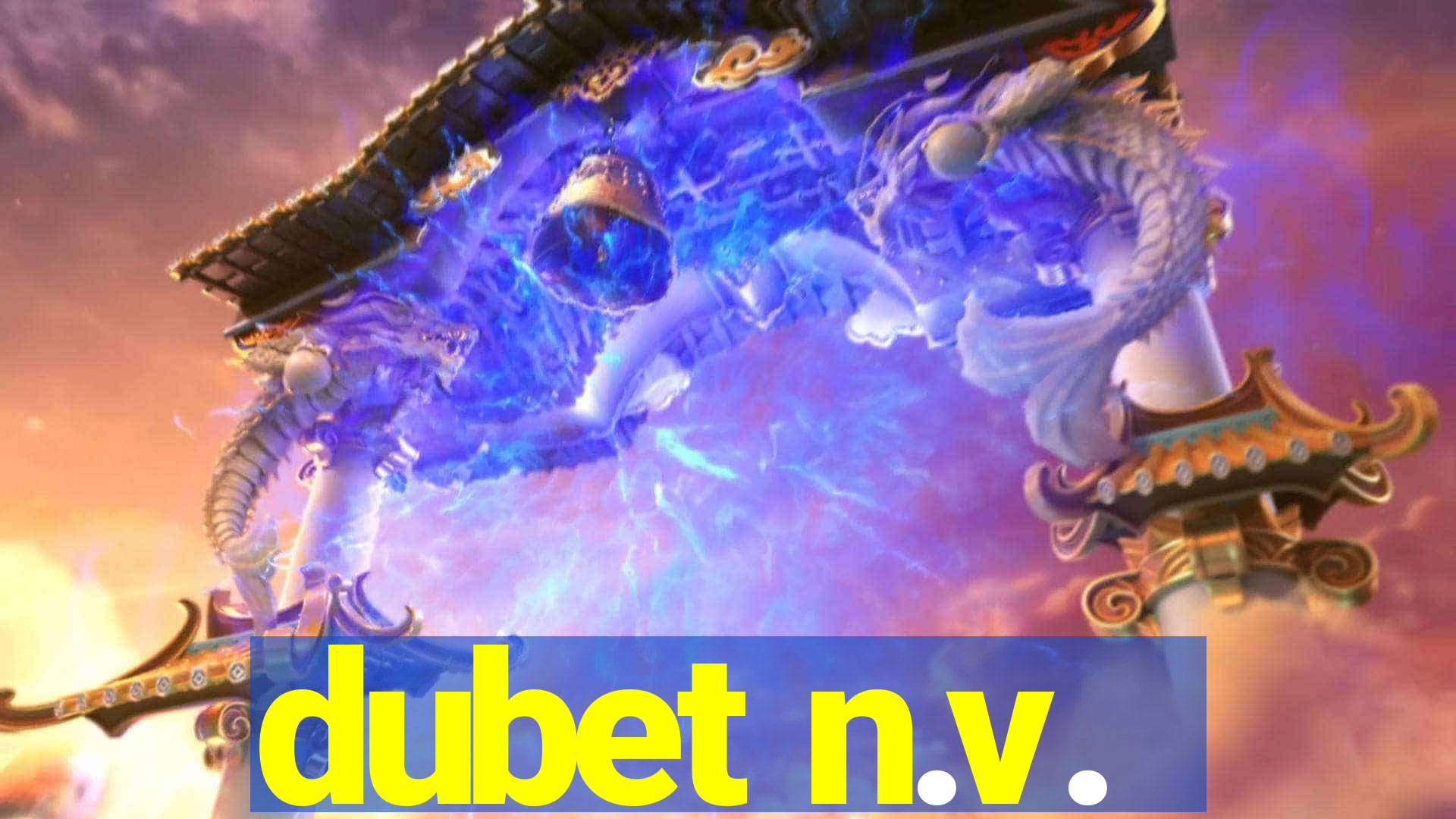 dubet n.v.