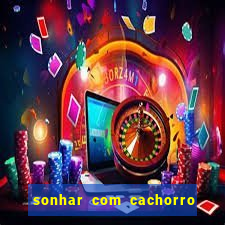 sonhar com cachorro morto jogo do bicho