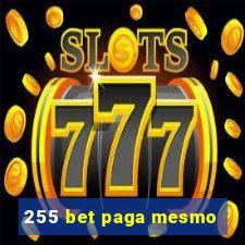 255 bet paga mesmo