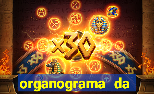 organograma da cacau show