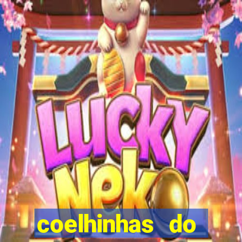 coelhinhas do brasil acompanhantes
