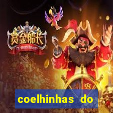 coelhinhas do brasil acompanhantes