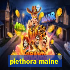 plethora maine