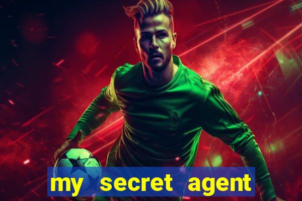 my secret agent husband legendado