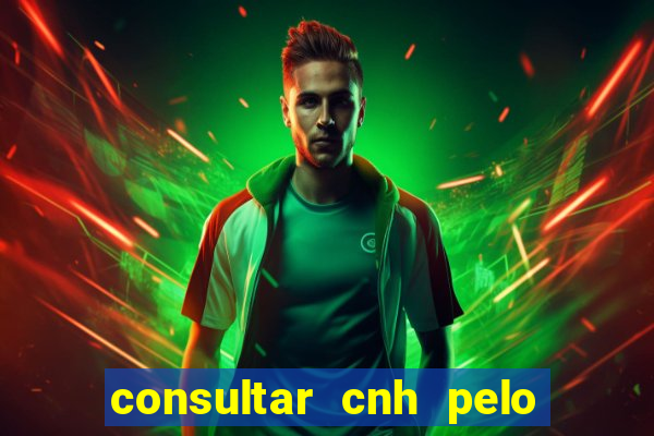 consultar cnh pelo cpf sp