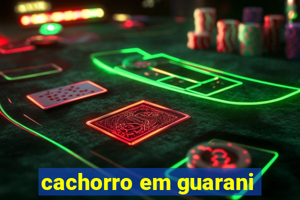cachorro em guarani