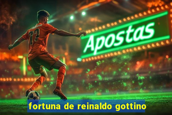 fortuna de reinaldo gottino