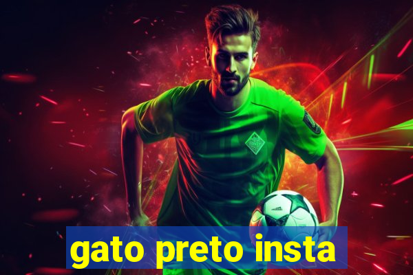 gato preto insta